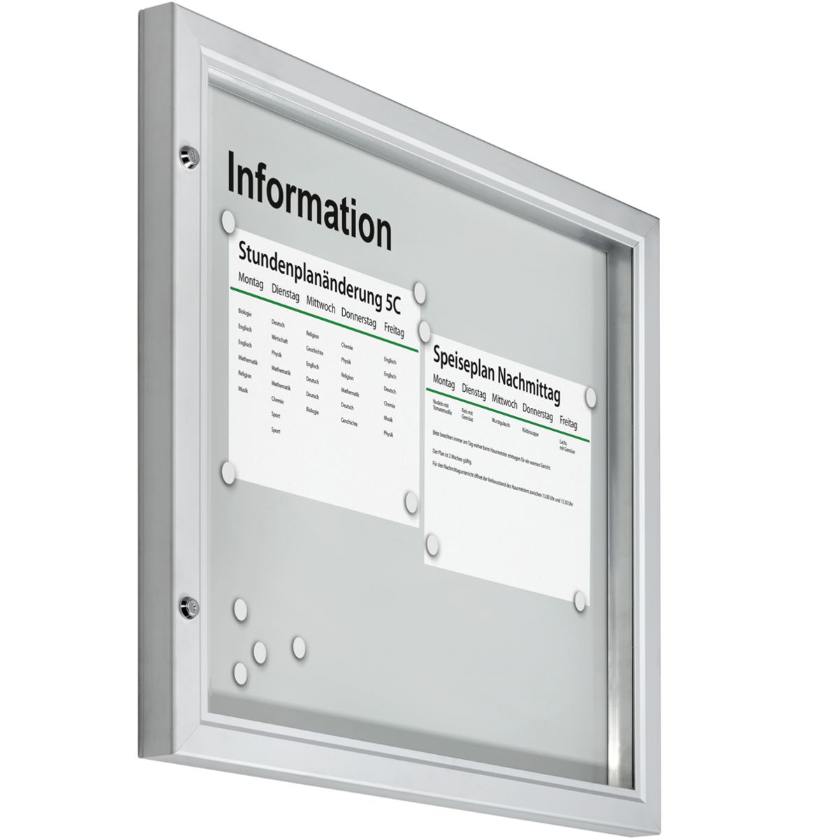Plakatschaukasten Modell F, 8 x DIN A4, Hochformat