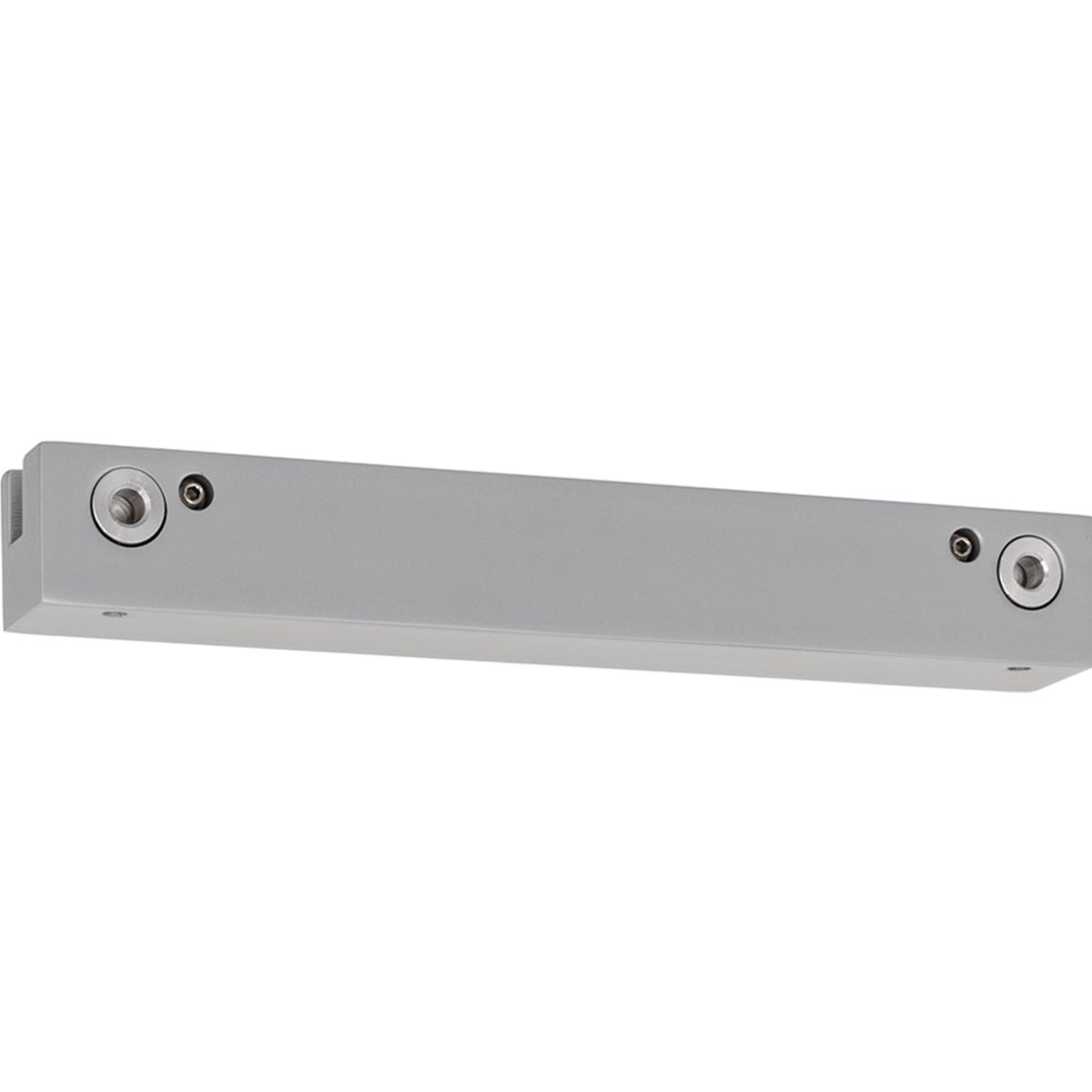 Wandschild, Modell Monaco, DIN A3, Beschriftung flexibel (mit Einleger)