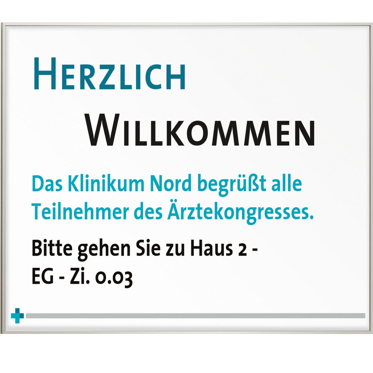 Wandschild, Modell Madrid, ~ DIN A3, Querformat, Silber, Beschriftung mit Einleger, Entnahmesicher